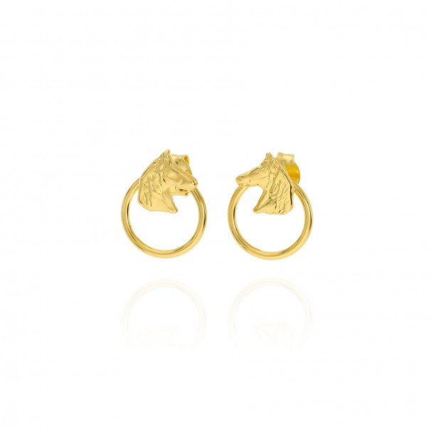 Pendiente aro cabeza...