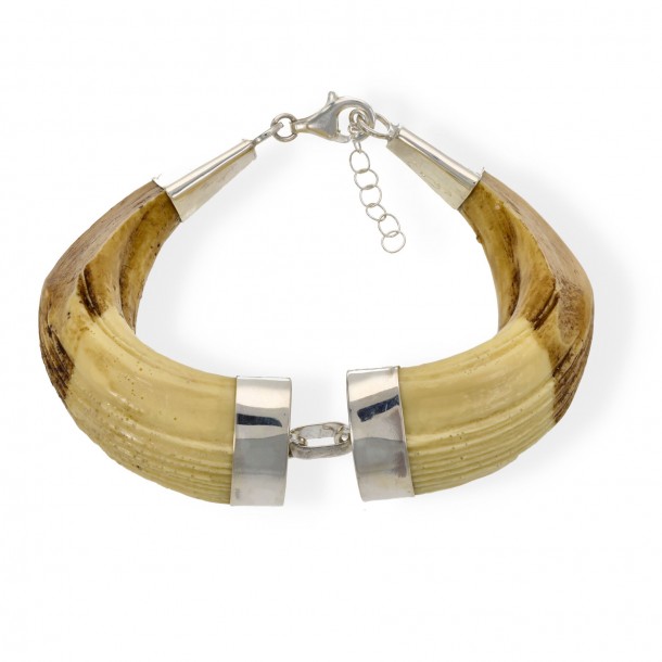 Pulsera colmillos jabalí... 2